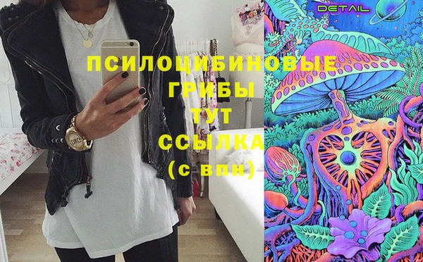 ГАЛЛЮЦИНОГЕННЫЕ ГРИБЫ Беломорск