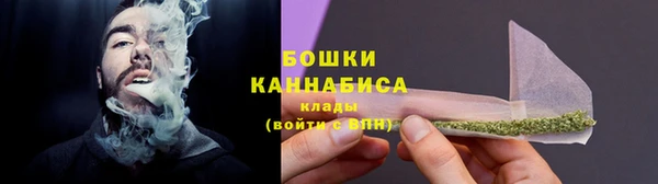 ГАЛЛЮЦИНОГЕННЫЕ ГРИБЫ Белоозёрский