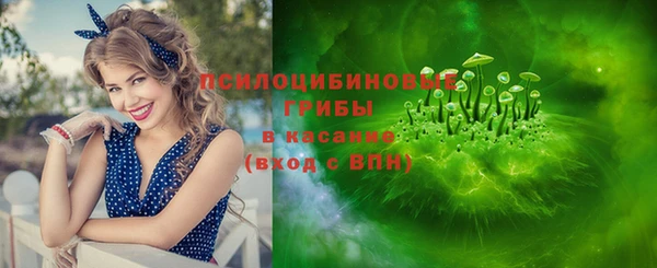 ГАЛЛЮЦИНОГЕННЫЕ ГРИБЫ Белоозёрский